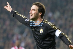 UFC 316，佩尼亚对决哈里森，女子羽量级迎来历史性碰撞