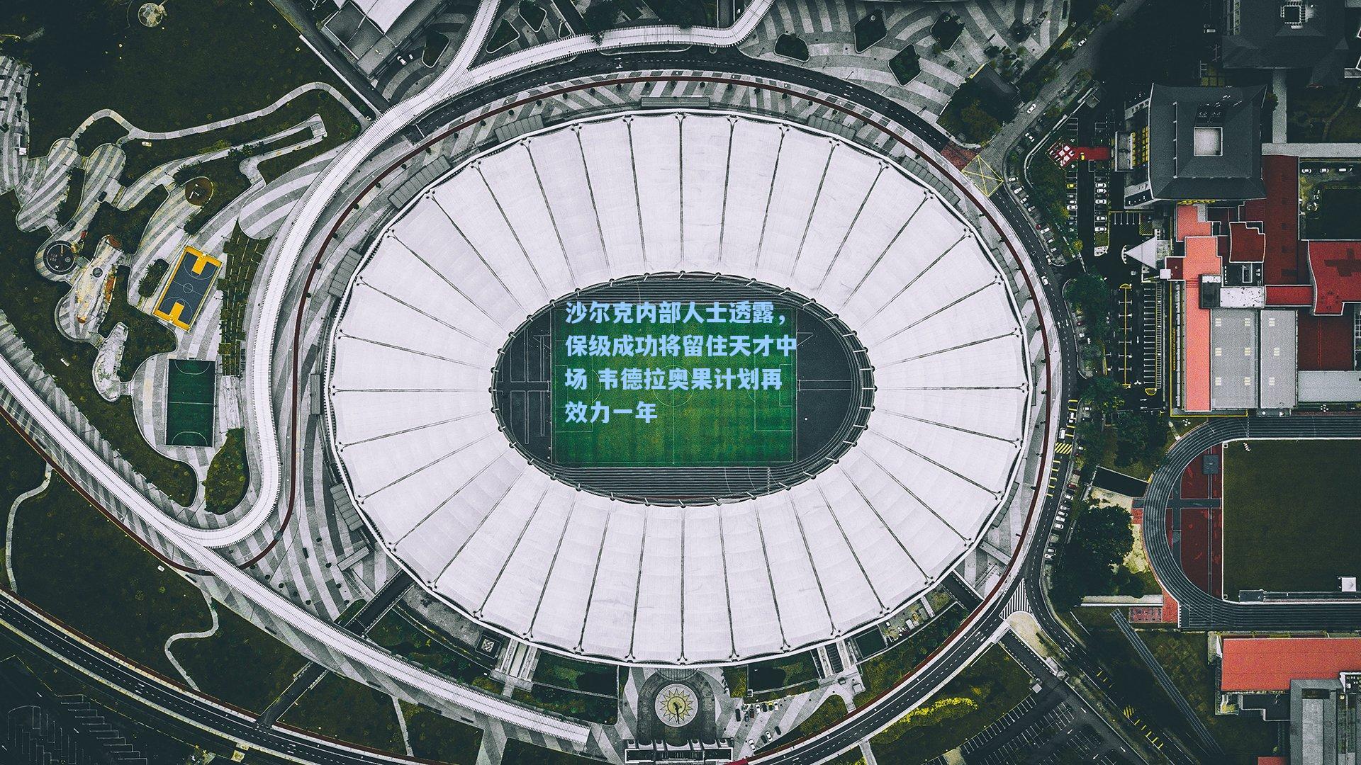 沙尔克内部人士透露,保级成功将留住天才中场 韦德拉奥果计划再效力一年