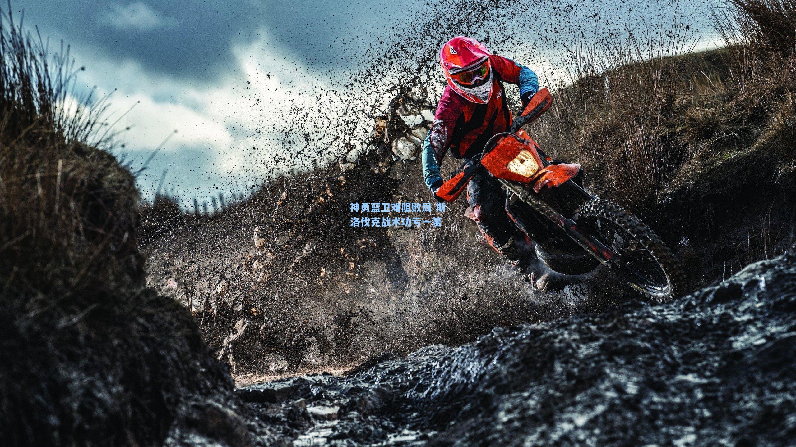 神勇蓝卫难阻败局 斯洛伐克战术功亏一篑